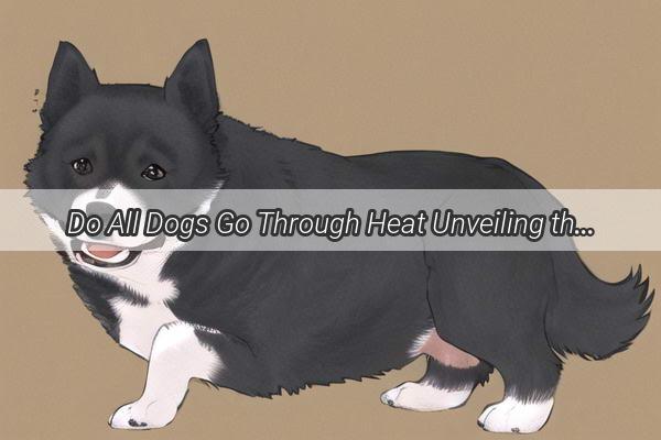 Do All Dogs Go Through Heat Unveiling the Surprising Truth About Canine Estrus